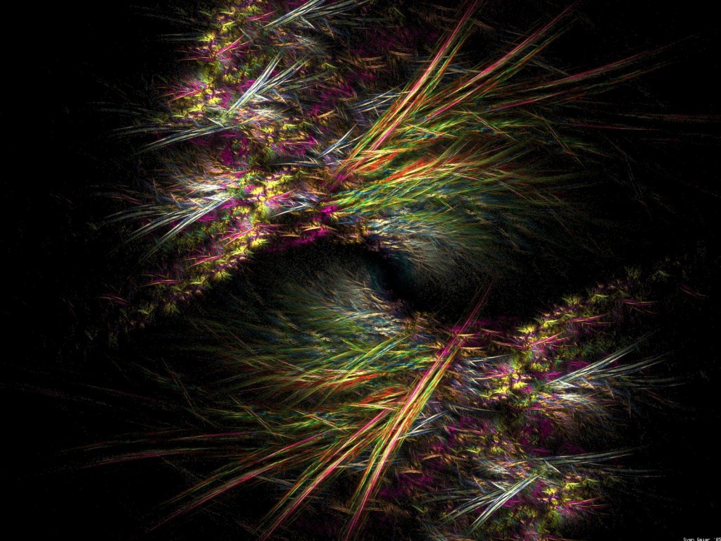 rêve plume oiseau paon