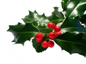 doss_1201_guihoux_nge_02_87_semaine_50_2008_mode_beaute