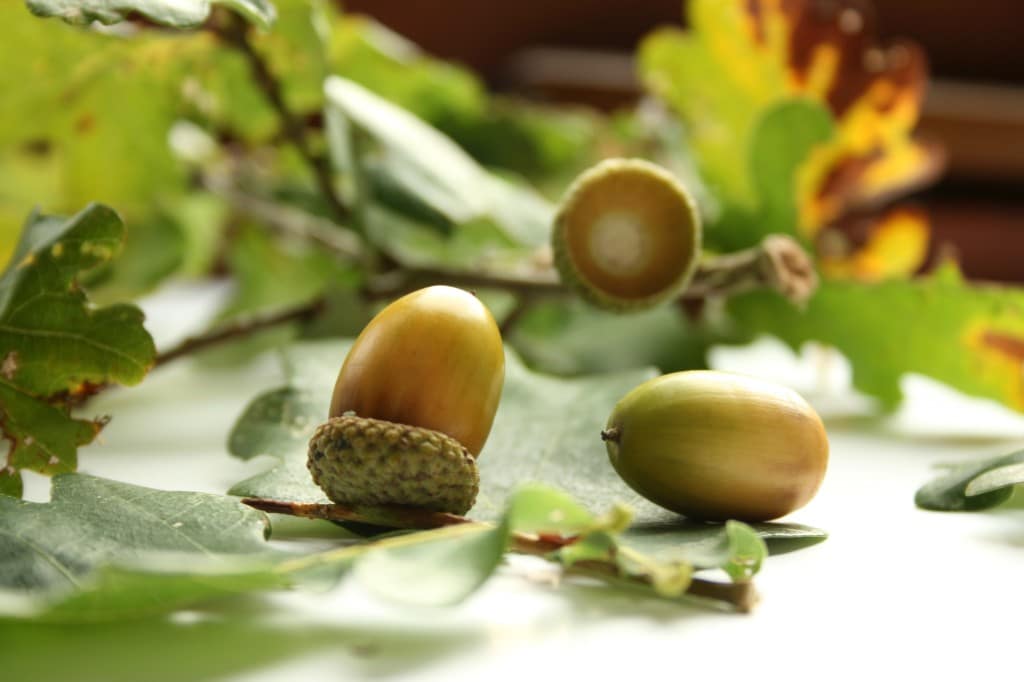 fond_ecran_wallpaper_paysage_1083