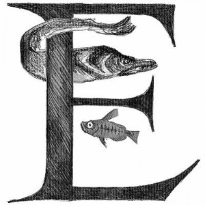 Numérologie lettre E