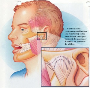 resoudre-votre-probleme-de-machoire-IMGH1206267076-319911