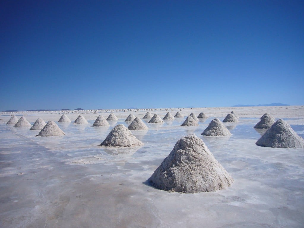 salar1