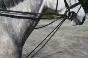 renesallemandescordes