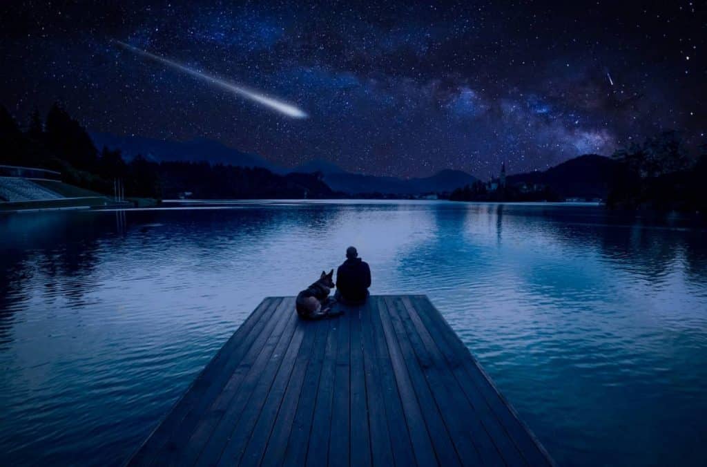 chien avec son maitre sur une berge qui regardent le ciel étoilé