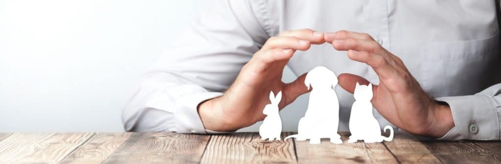 un magnétiseur travaille sur des animaux