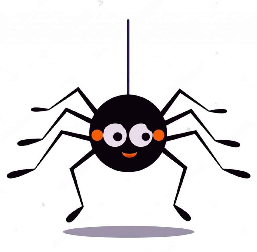 une petite araignée noire